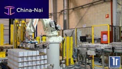 Robotic palletizer bagfor boxestray