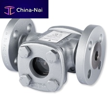 Flow control valve VK, NRG, VKEpurgefor steam