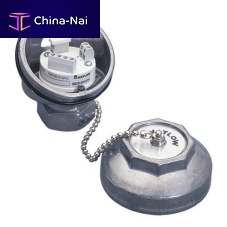 Probe head-mounted temperature transmitter thermocoupleRTDresistance