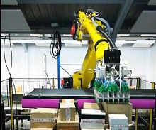 Robotic depalletizer bottleindustrialbag