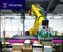 Robotic depalletizer bottleindustrialbag