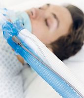Adult breathing circuit Ventimystheated