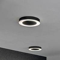 Contemporary ceiling light RING /Croundsheet metalpolycarbonate