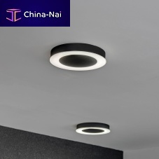 Contemporary ceiling light RING /Croundsheet metalpolycarbonate