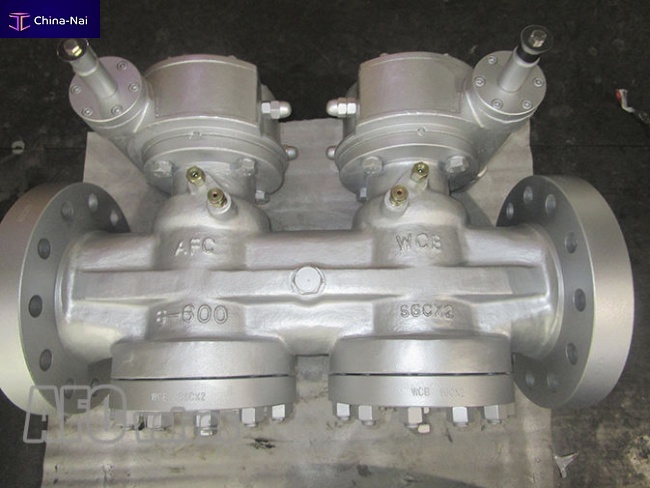 											Plug valve manualisolationbleed