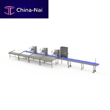 Sorting system for the food industry belt