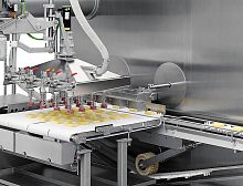 Automatic feeding system ER 10