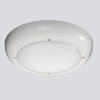 Surface-mounted light fixture CYMBAL ANTI-LIGATURELEDroundpolycarbonate