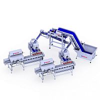 Belt feeder automaticfor fish