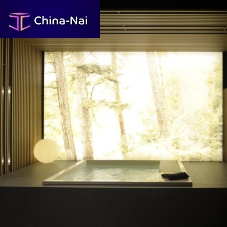 Professional bathtub WATERDREAMconcretewhite