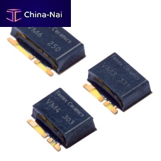Voltage amplifier VM Series