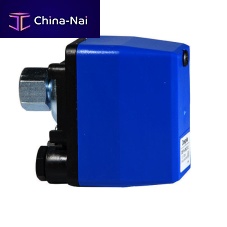 Mechanical pressure switch 1.5 - 6 bar | DSP 06-2for air
