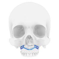 Maxilla osteotomy plate titanium