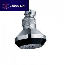 Ceiling-mounted shower head roundrain