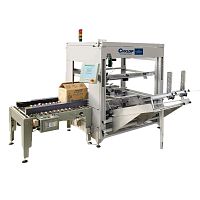 Automatic carton erector