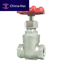 Needle valve GAV-1 manualfor chemicalsstainless steel