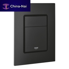 Double toilet flush button 37535KF0commercialhome