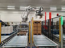 Robotic palletizer layerarticulatedcompact