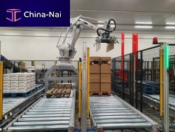Robotic palletizer layerarticulatedcompact
