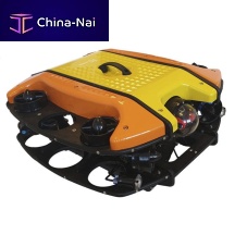 Monitoring USV S-ROV