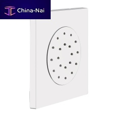 Lateral shower head FIGD10677