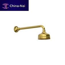 Wall-mounted shower head FR 17 seriesroundrain