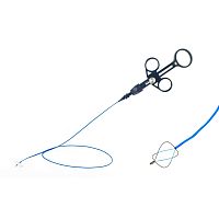 Kidney stone extraction endoscopic basket SBNstraight