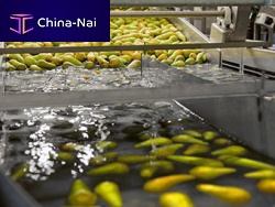 Disc feeder automaticfood