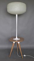 Floor-standing lamp MANDARINEoakresinoriginal design