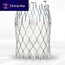 Aortic valve bioprosthesis ALLEGRA TAVIbovine tissuesutureless