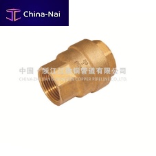 Threaded check valve JXBA9053brass