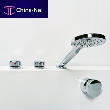 Bathtub mixer set 5516VR