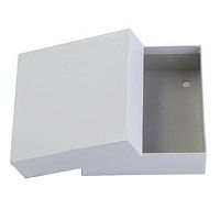 Storage sample box B50-SQcardboardfreezing