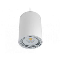 Pendant downlight TUBELEDroundIP23