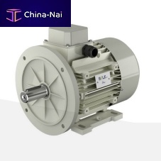DC motor TP-SL/TPB-SL seriessynchronousIP55IP65