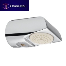 Wall-mounted shower head 09036
