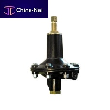 Gas pressure relief valve V/31-2diaphragm