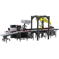 Horizontal case packer roboticcarton