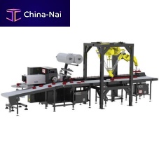 Horizontal case packer roboticcarton