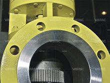 Flange safety valve differential