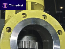 Flange safety valve differential