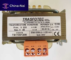 Single-phase transformer TS11001208currentencapsulatedfor industrial applications