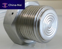 Diaphragm seal with threaded connection S154 serieshygienicmeasurement