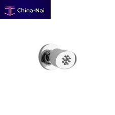 Lateral shower head 86CR721