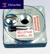 Diaphragm seal with threaded connection B8498for pressure gauges