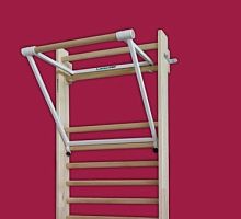 Wall bars pull-up bar 248