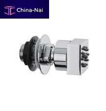 Lateral shower head F2219