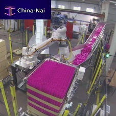PET bottle depalletizer roboticautomaticfor the packaging industry