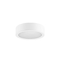 LED spotlight SylDuo