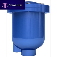 Air relief valve ARV